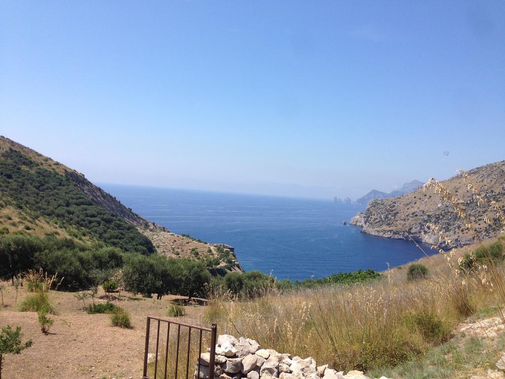 Olga'S Residence Relais Nerano Buitenkant foto
